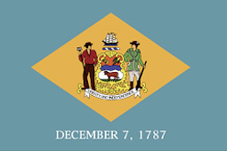 Bin Block Supply Delaware Flag