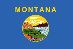 Bin Block Supply Montana Flag