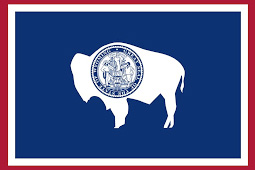Bin Block Supply Wyoming Flag