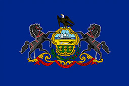 Concrete Blocks Pennsylvania Flag