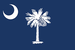 Concrete Blocks South Carolina Flag